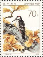 Great Spotted Woodpecker (Dendrocopos major)