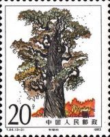 The Tomb of Yellow Emperor