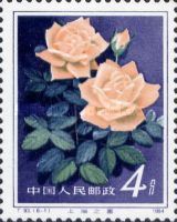 Roses