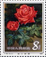 Roses