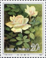 Roses