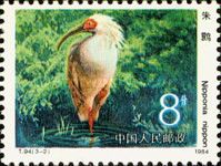 Crested Ibis (Nipponia nippon)