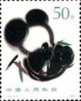 Giant Panda (Ailuropoda melanoleuca)