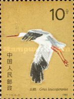 Siberian Crane (Grus Leucogeranus)