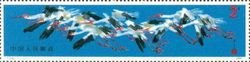Siberian Crane (Grus leucogeranus)