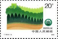 Reforestation campaign