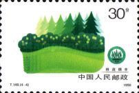 Reforestation campaign