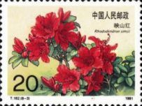 Yingshanhong