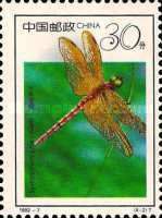 Saffron-winged Meadowhawk (Sympetrum croceolum)