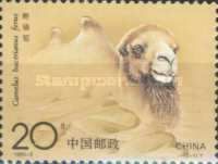 Bactrian Camel (Camelus bactrianus)