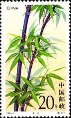 Black Bamboo