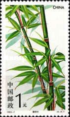 Tea Shaft Bamboo