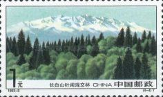 Coniferous and Broadleaf Forest