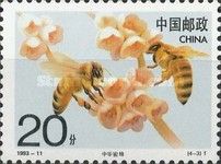 Two Bees on Blossom