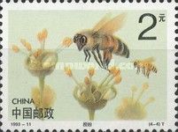 Two Bees Amongst Flowers