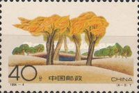 Forest of Poplars