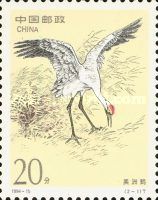 Wooping Crane (Grus americana)