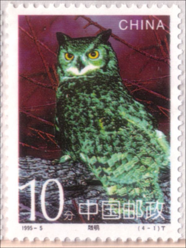 Eurasian Eagle-Owl (Bubo bubo)
