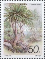 Cycas pectinata