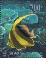 Pennant Coralfish (Heniochus acuminatus)