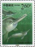 Baiji (Lipotes vexillifer)