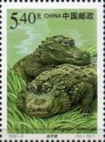 Chinese Alligator (Alligator sinensis)