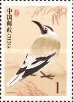 Biddulph's Ground-jay (Podoces biddulphi)