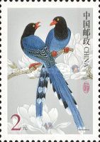 Taiwan Blue Magpie (Urocissa caerulea)