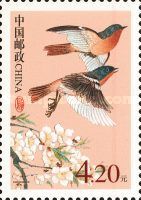 Ala Shan Redstart (Phoenicurus alaschanicus)