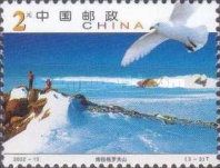 Grove Mountains, Snow Petrel (Pagodroma nivea)