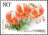 Lilium distichum
