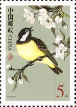 Yellow-bellied Tit (Periparus venustulus)