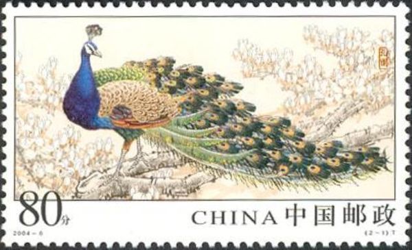 Indian Peafowl (Pavo cristatus)