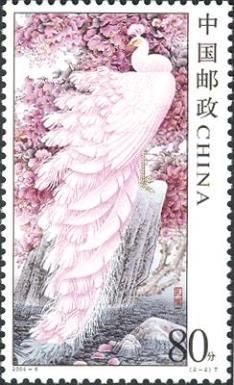 White Peafowl (Pavo cristatus albus)