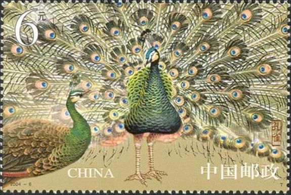 Green Peafowl (Pavo muticus)