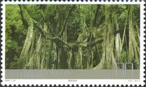 Rain forest, Southern Yunnan