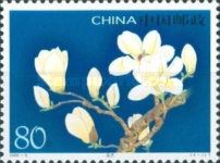 Magnolia dennudata
