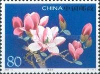 Magnolia liliflora