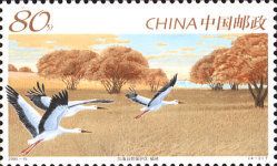Oriental Stork (Ciconia boyciana)