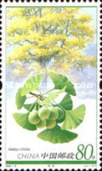 Ginkgo biloba