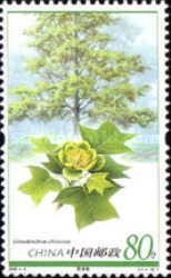 Liriodendron chinense