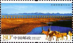 Damxun Bridge,Kekexili, Tibetan Antelope (Panthopos hodgeson