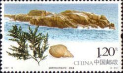 Longchuanjiao