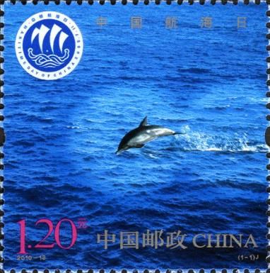 Common Dolphin (Delphinus delphis)