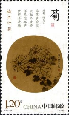 Ju (Chrysanthemum)