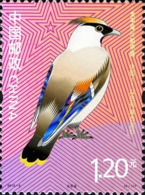 Bohemian Waxwing (Bombycilla garrulus)