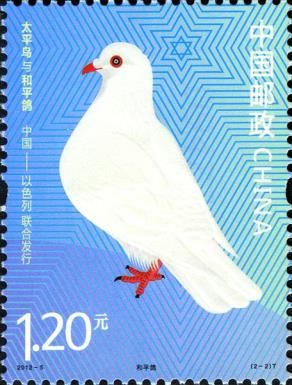 Pigeon