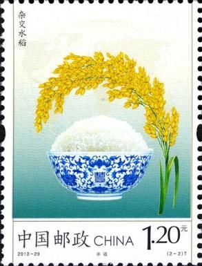 Harvest of Hybrid Rice
