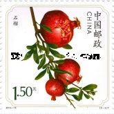 Pomegranate