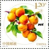 Apricots